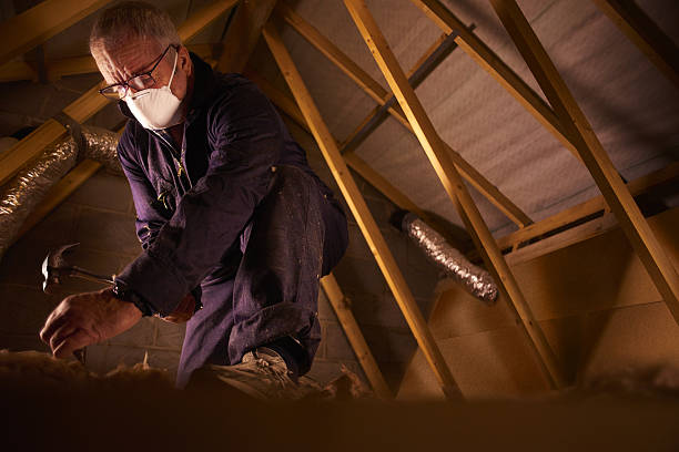 Best Types of Insulation in Livonia, MI